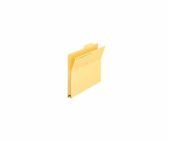 プラス 持出しフォルダー A4E イエロー 100枚 FL-061PF YL100 1箱(ご注文単位1箱)【直送品】