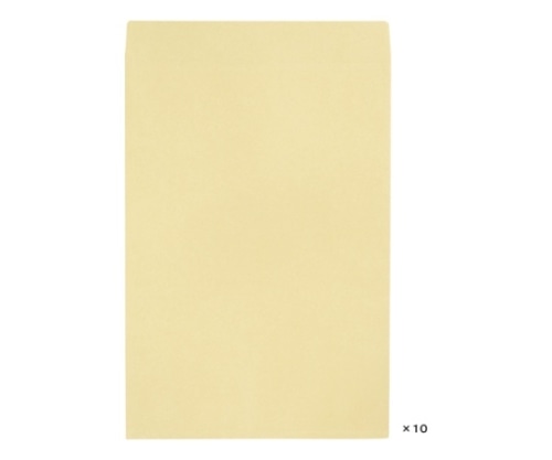 寿堂 クラフト封筒 1袋(10枚入) 3853 1袋(ご注文単位1袋)【直送品】