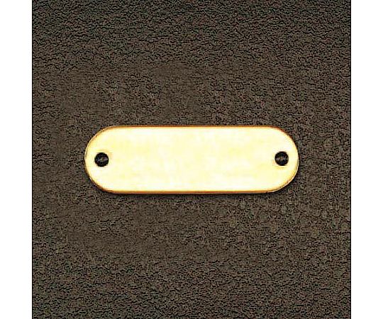 アズワン 19x79mm タグブランク(真鍮 長丸/10枚) EA591HE-13 1パック(ご注文単位1パック)【直送品】