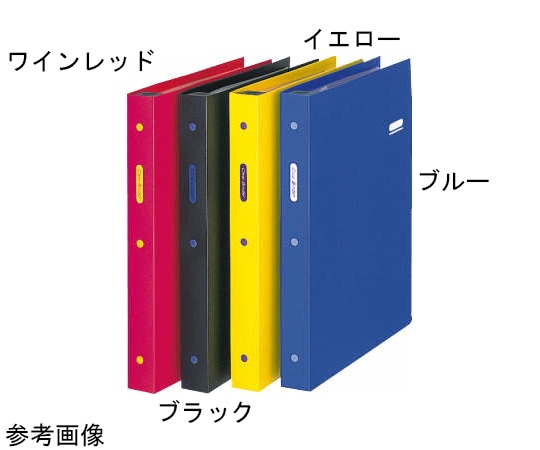 ライオン事務器 クリアーバインダー ブラック CB-253(BK) 1冊(ご注文単位1冊)【直送品】