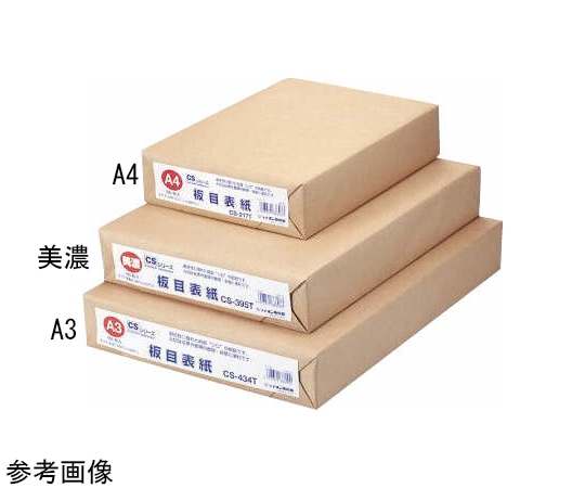 ライオン事務器 板目表紙 A4 CS-217T 1冊(ご注文単位1冊)【直送品】