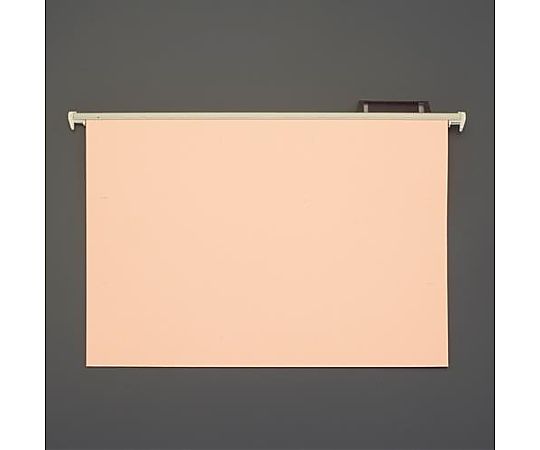 ライオン事務器 A3/310x435mm ハンガーフォルダー(20冊) EA762CE-11 1パック(ご注文単位1パック)【直送品】