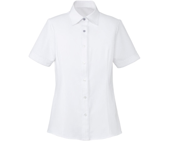 カーシーカシマ ENJOY 半袖シャツブラウス CLEAR BLOUSE ブルー×ホワイト 19号 ESB494 1枚（ご注文単位1枚）【直送品】