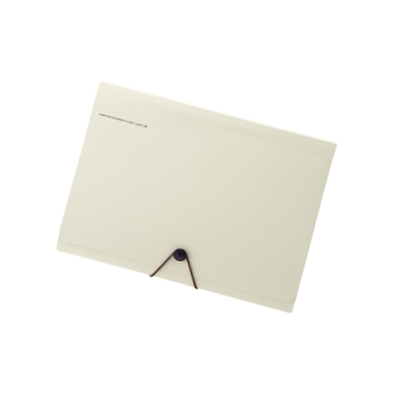 LIHITLAB SMART FIT キャリングドキュメント 16ベージュ A-7589 A7589-16 1冊(ご注文単位1冊)【直送品】