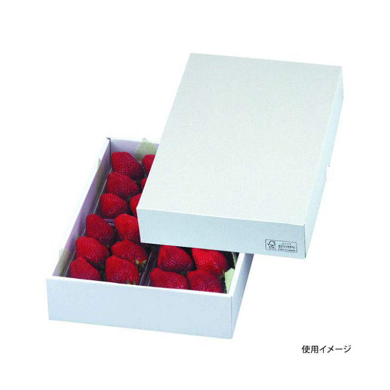 ヤマニパッケージ 青果用贈答箱 パール27 FS 50枚 LTO-27FS 1ケース(ご注文単位1ケース)【直送品】