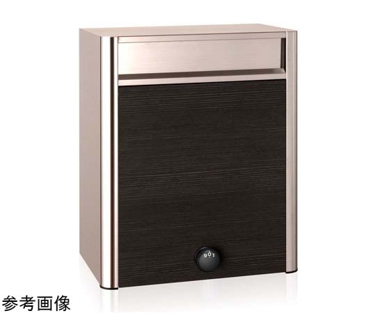 コーワソニア 戸建郵便受箱 704 ラッチ錠 パイン P704ES-NLP 1個(ご注文単位1個)【直送品】