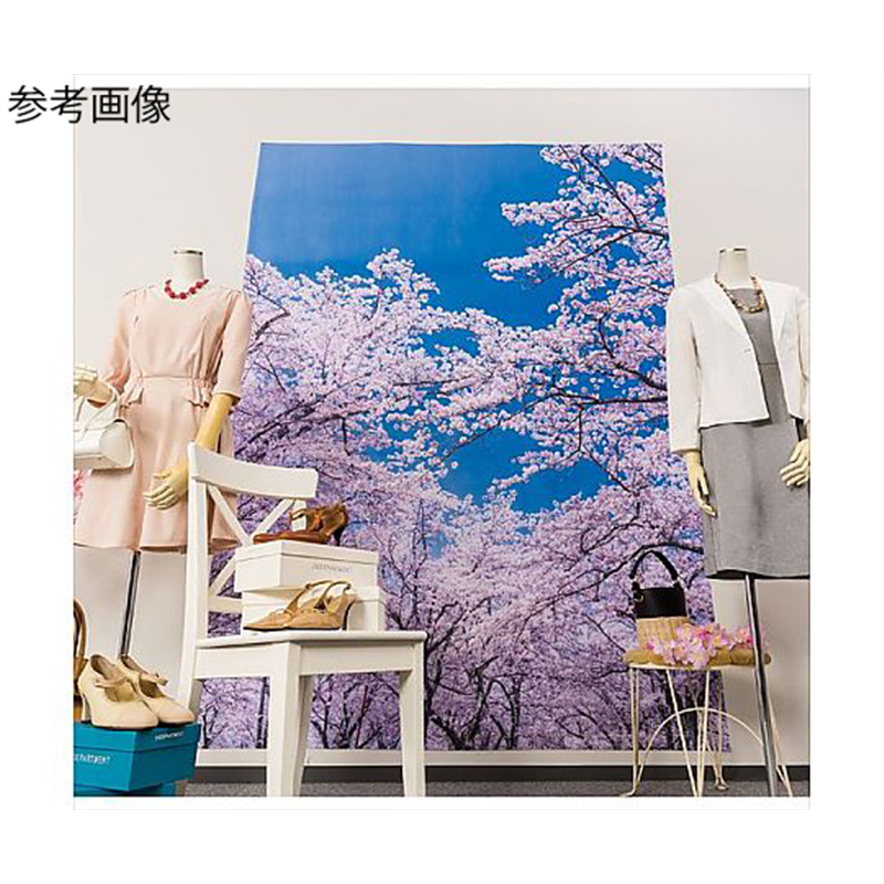 アズワン バックグラウンドシート さくら 175×240cm 23-25-1-1 1個(ご注文単位1個)【直送品】