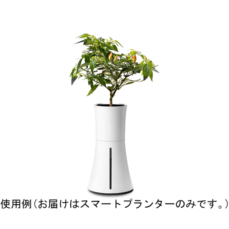 BOTANIUM 自動で水やり、手間なく育てるスマートプランター BOTANIUM-WT 1台(ご注文単位1台)【直送品】