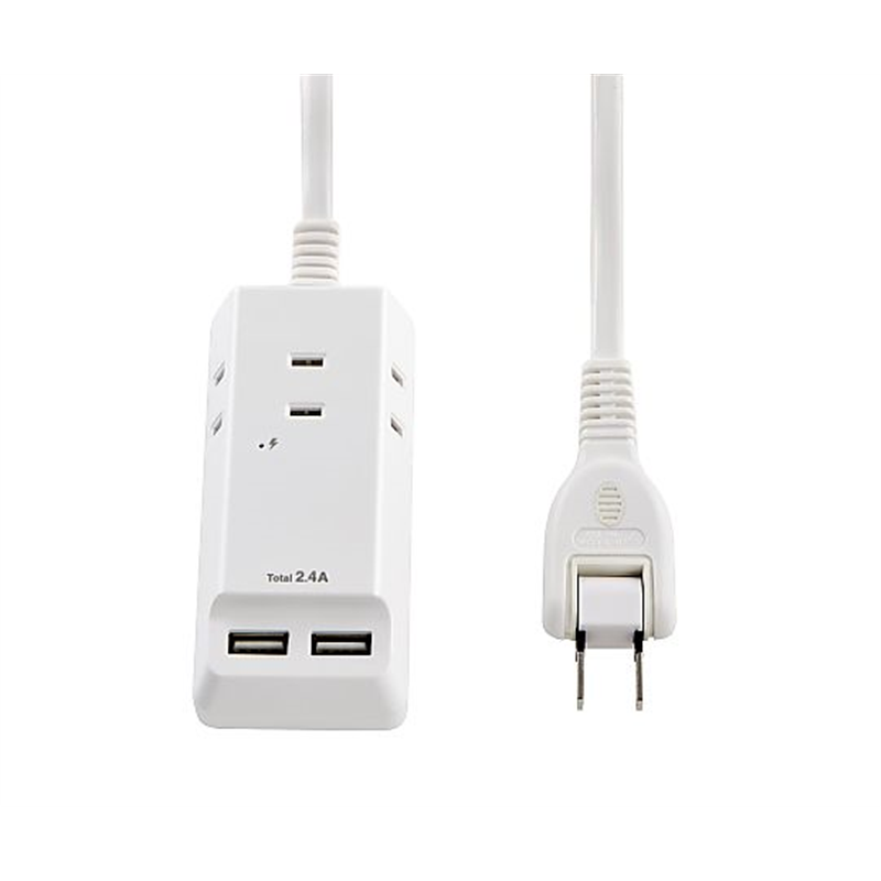 ELPA 耐雷USBコード付きタップ 0.5m WL-2205SU 1個(ご注文単位1個)【直送品】