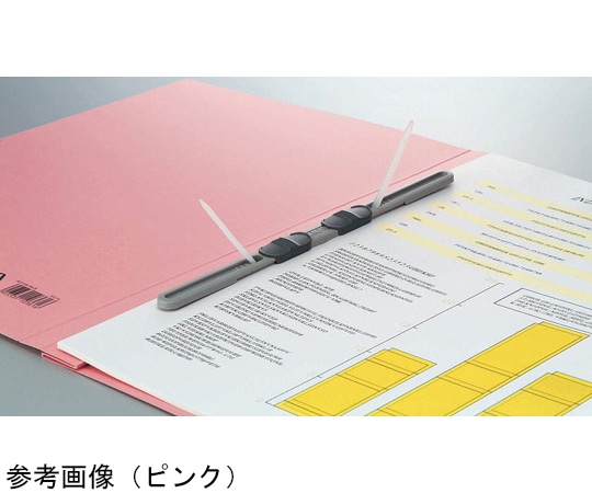 ライオン事務器 フラットファイル 1パック(3冊入) FP(CS)-A508E-3P 1パック(ご注文単位1パック)【直送品】