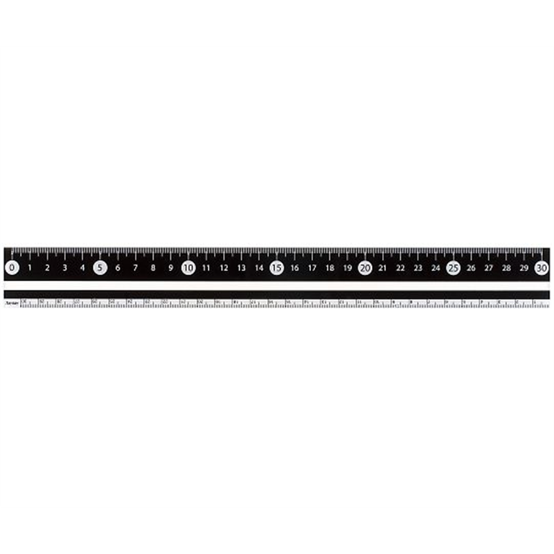 レイメイ藤井 白・黒 直定規 30センチ 黒 APJ281B 1本(ご注文単位1本)【直送品】