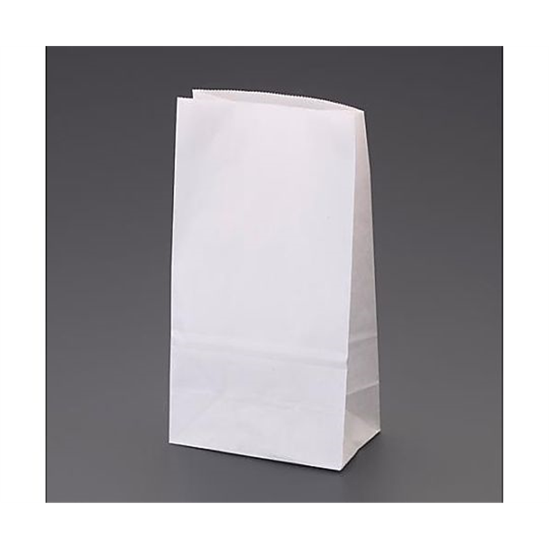 アズワン 120x 70x220mm 紙袋(白/無地/100枚) EA927SB-81 1パック（ご注文単位1パック）【直送品】