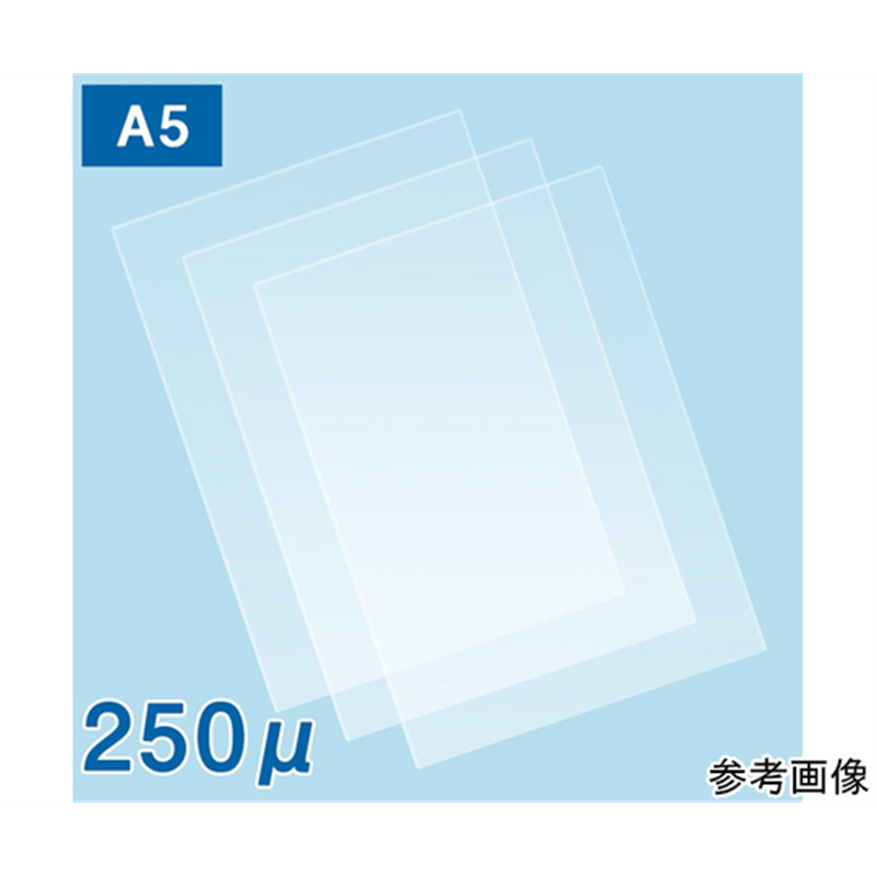フジテックス ラミネートフィルム250μ A5サイズ 1000枚入 1ケース(ご注文単位1ケース)【直送品】