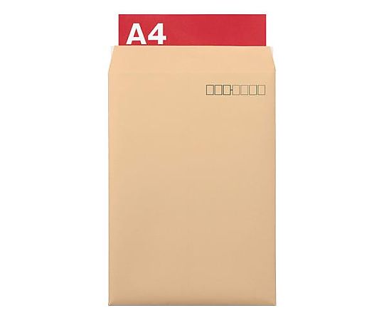 ライオン事務器 240x332mm クッション封筒(郵便枠あり/10枚) EA762GF-24 1パック(ご注文単位1パック)【直送品】