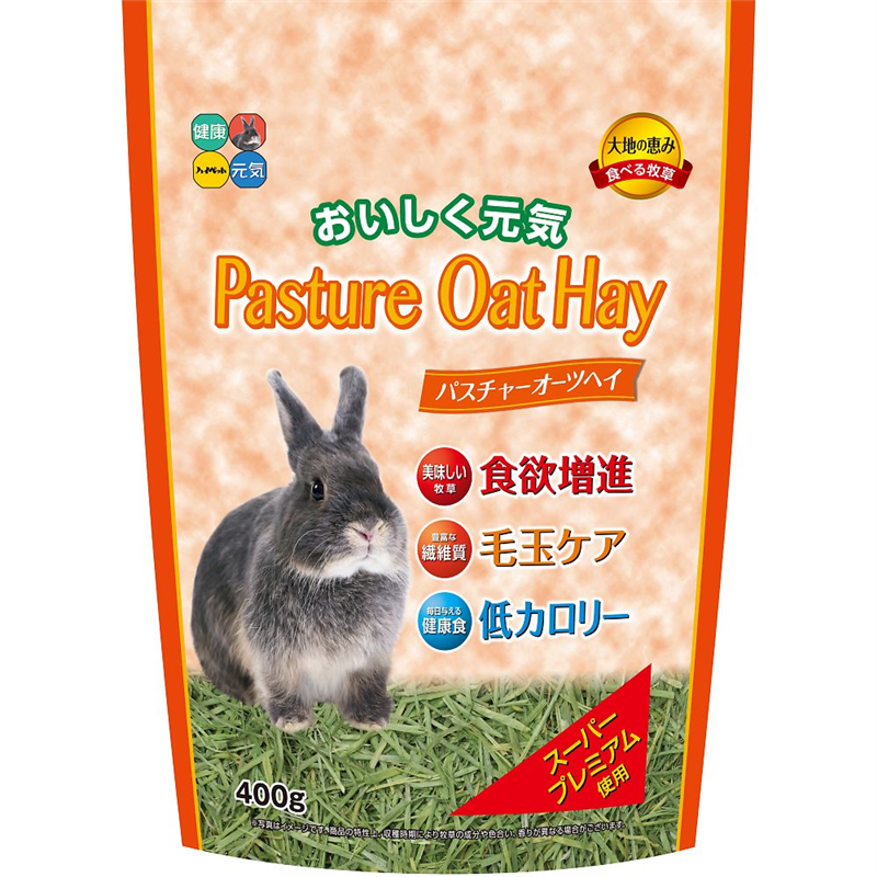 ハイペット パスチャーオーツヘイ 400g  1袋（ご注文単位1袋）【直送品】