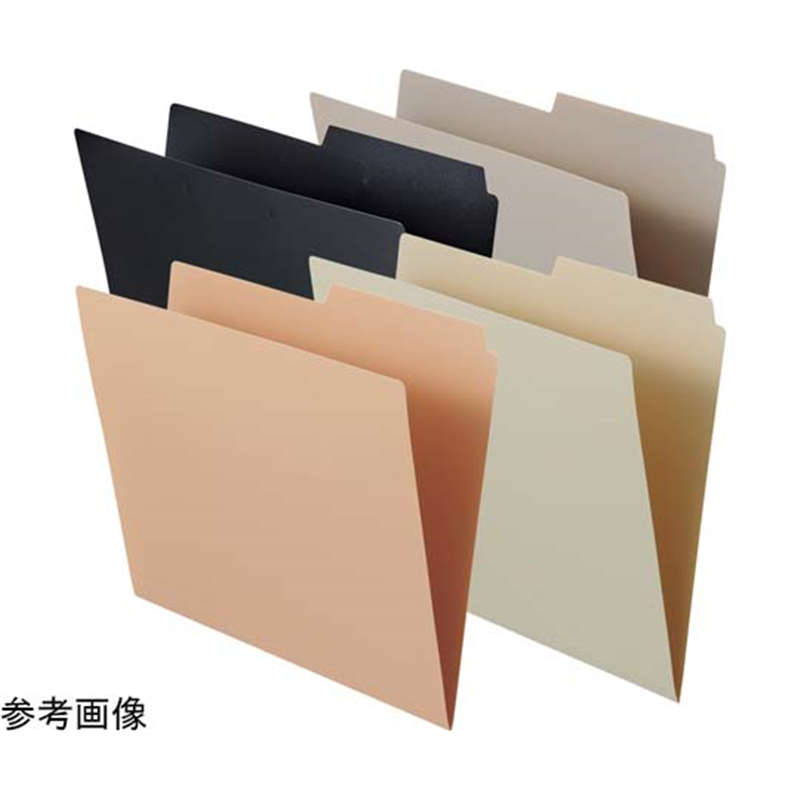 LIHITLAB 個別フォルダー ベージュ F292-16 1組(ご注文単位1組)【直送品】