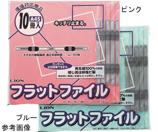 ライオン事務器 フラットファイル 1パック(10冊入) FP(CS)-A516S10P 1パック(ご注文単位1パック)【直送品】