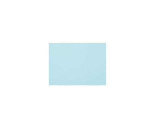 エリエール(大王製紙) 再生色画用紙 4ツ切 100枚 ぞう 1パック(ご注文単位1パック)【直送品】