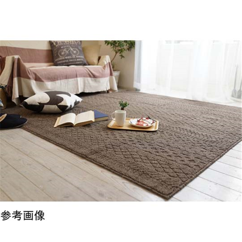 スミノエ 洗えるラグ カレン 185×240cm ブラウン 13473271 1枚（ご注文単位1枚）【直送品】