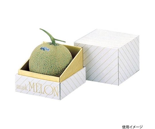 ヤマニパッケージ 青果用贈答箱 金台紙メロン1個入 30枚 L-73 1ケース(ご注文単位1ケース)【直送品】