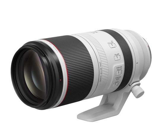 キヤノン レンズ RF100-500mm F4.5-7.1 L IS USM RF100-500LIS 1個(ご注文単位1個)【直送品】