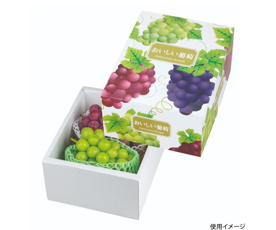 ヤマニパッケージ 青果用贈答箱 デリシャス葡萄 30枚 L-2279 1ケース(ご注文単位1ケース)【直送品】