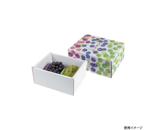 ヤマニパッケージ 青果用贈答箱 彩りぶどう 中 40枚 L-2486 1ケース(ご注文単位1ケース)【直送品】