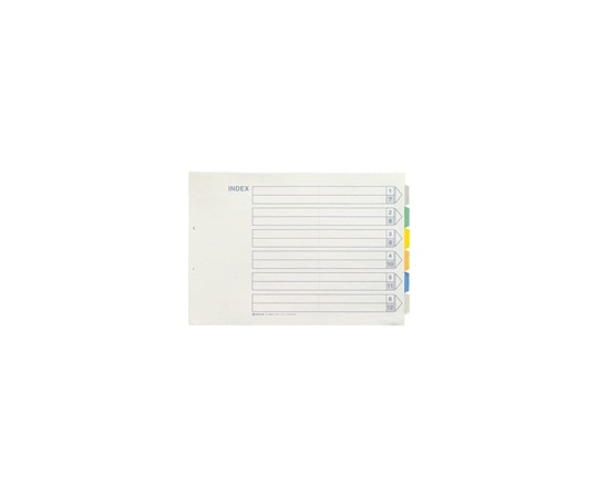 キングジム カラーインデックス A3E 1パック(10組入) 1000E-6Y 1パック(ご注文単位1パック)【直送品】