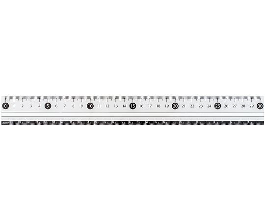 レイメイ藤井 白・黒 直定規 30センチ 白 APJ281W 1本(ご注文単位1本)【直送品】