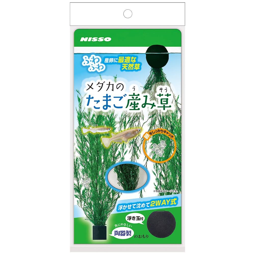 マルカンニッソー事業部 メダカのたまご産み草 NAP-590 1個(ご注文単位1個)【直送品】