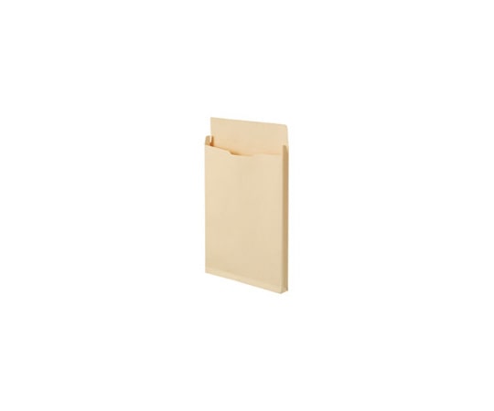 イムラ封筒 角底袋100枚 BK2-1020N 1箱(ご注文単位1箱)【直送品】