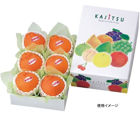 ヤマニパッケージ 贈答箱 果実パレット ミニ 50枚 L-447 1ケース(ご注文単位1ケース)【直送品】