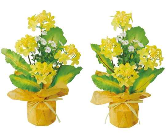 アズワン 菜の花ラップ 2個 33-14-6-1 1個(ご注文単位1個)【直送品】