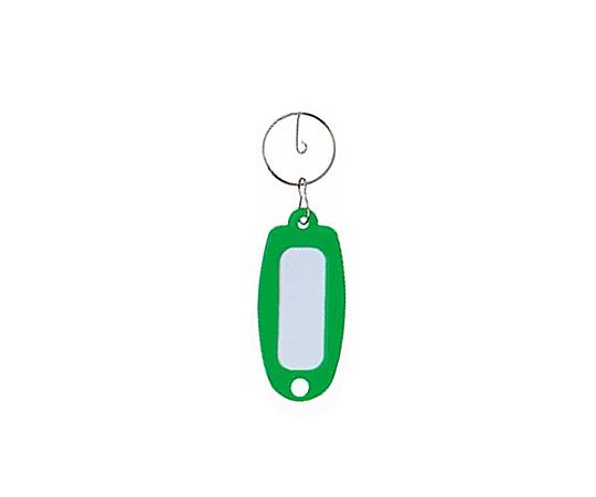 アズワン 27x52mm ネームタグ(緑/10個) EA956VA-13A 1箱(ご注文単位1箱)【直送品】