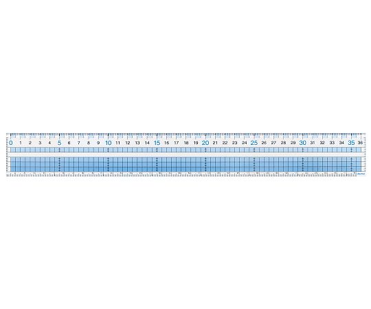 レイメイ藤井 見やすい方眼定規 36cm AJH408 1本(ご注文単位1本)【直送品】