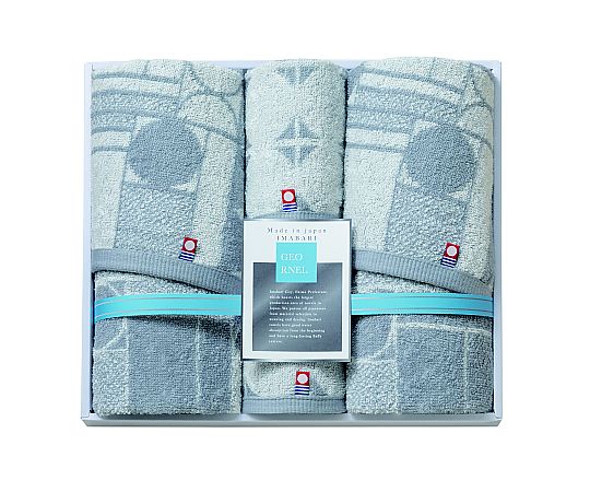 アズワン GEORNEL(FT×2・WT×2) GER-141 1セット(ご注文単位1セット)【直送品】