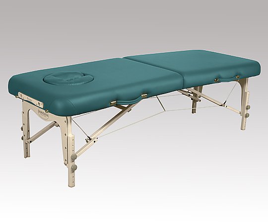 アズワン 折りたたみベッド 630×1820×450~650mm ティール NPS25T 1台（ご注文単位1台）【直送品】