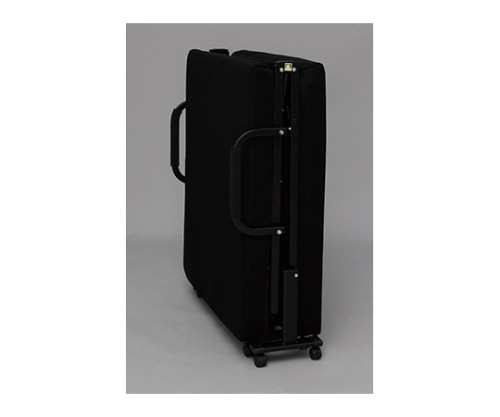 アイリスオーヤマ 折りたたみベッド OTB-KRH 1個（ご注文単位1個）【直送品】