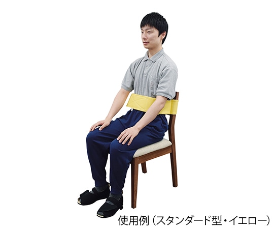 特殊衣料 トランスポートベルト スタンダード型 M グレー 1個(ご注文単位1個)【直送品】