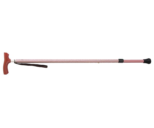 シナノ カイノス 和彩 薄紅梅（ピンク） 600100 1本（ご注文単位1本）【直送品】