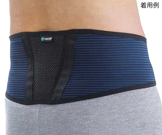 丸光産業 tamoto バックサポートベルト L 202560 1個（ご注文単位1個）【直送品】