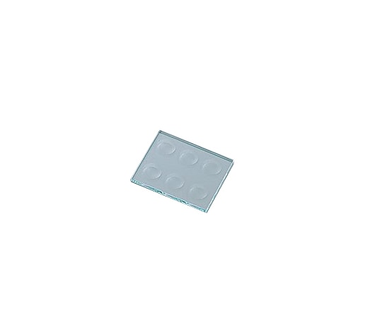 アズワン 血液反応板 6ツ穴(2列) 5×75×90mm 1枚(ご注文単位1枚)【直送品】