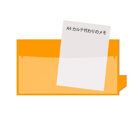 日本ホップス アリバイガイド A4 橙 10枚入 AG-A4L05 1袋（ご注文単位1袋）【直送品】