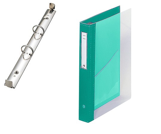 LIHITLAB カルテブック（クリヤー） 2穴タイプ ライトグリーン HB446-4 1冊（ご注文単位1冊）【直送品】