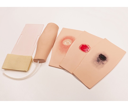レジーナ 抗がん剤の血管外漏出 前腕モデル BJT-ExL 1個（ご注文単位1個）【直送品】