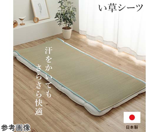 アズワン い草シーツ ブルー シングル 約88×200cm 1122920040701 1個（ご注文単位1個）【直送品】