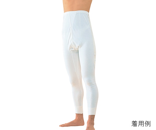 神戸生絲 ワンタッチ肌着 紳士用パンツ ズボン下 No.17L 1袋（ご注文単位1袋）【直送品】