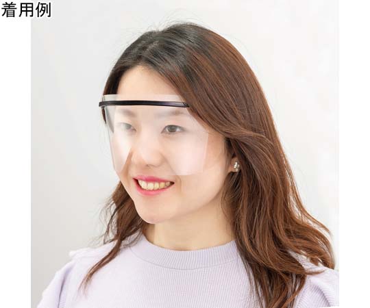 ミノル化学工業 HMアイシールド ブラック 10セット (1セット:フレーム1個+替シールド5枚) 1箱(ご注文単位1箱)【直送品】