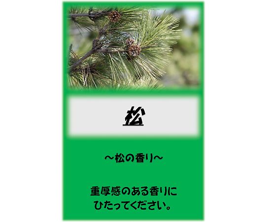 アサヒ商会 アサヒ入浴剤 松 10kg 1箱(ご注文単位1箱)【直送品】