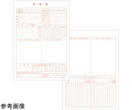 金鵄製作所 カルテ1号 B5 90kg 社保 k-001 500枚入 41022-101 1箱（ご注文単位1箱）【直送品】